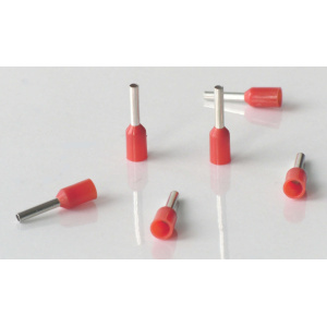 CE010008 Red - votlica izolirana